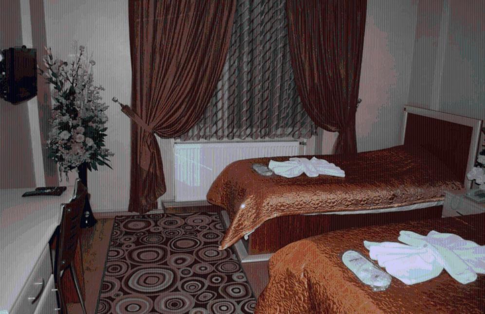 Hotel Grand Iskender アドゥヤマン 部屋 写真