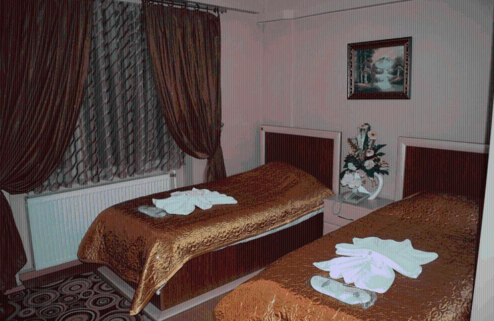 Hotel Grand Iskender アドゥヤマン 部屋 写真